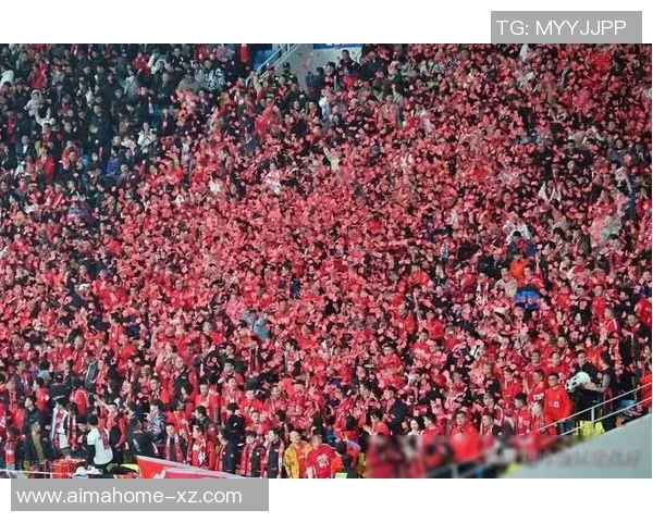 足球明星齐聚宜昌激情对决球迷狂欢共庆足球盛宴